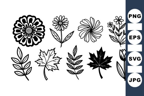 Hand Drawn Floral Leaves Set Review